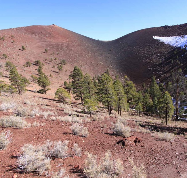 photo of red cinder slopes